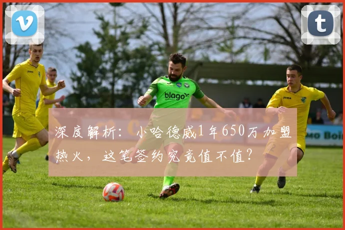 深度解析：小哈德威1年650万加盟热火，这笔签约究竟值不值？