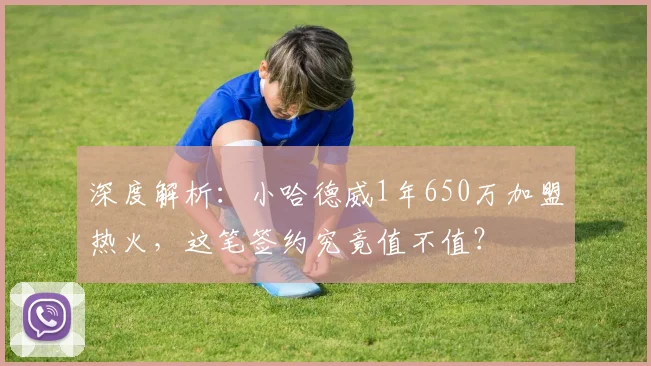深度解析:小哈德威1年650万加盟热火,这笔签约究竟值不值?